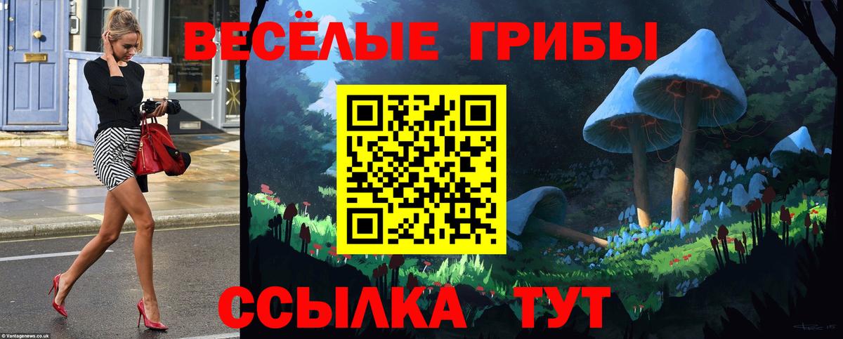 Камень-на-Оби  Псилоцибиновые грибы GOLDEN TEACHER  Вход с VPN 